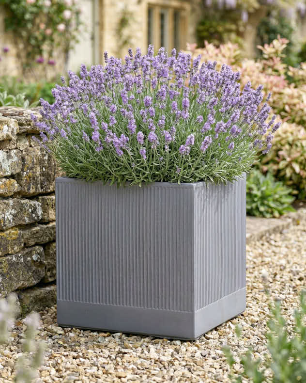 Agri Grey Ribbed Planter Collection - Image 4