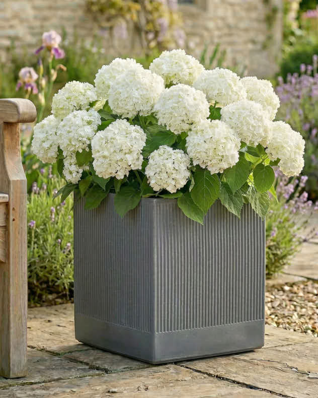 Agri Grey Ribbed Planter Collection - Image 5