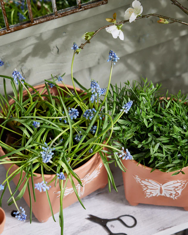 Akatsa Set of 2 Insect Planters - Image 4