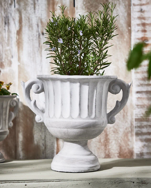 Arcadia Large Plant Pot - Image 3