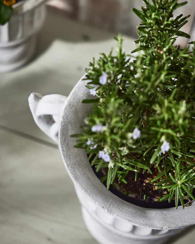 Arcadia Large Plant Pot - Image 5
