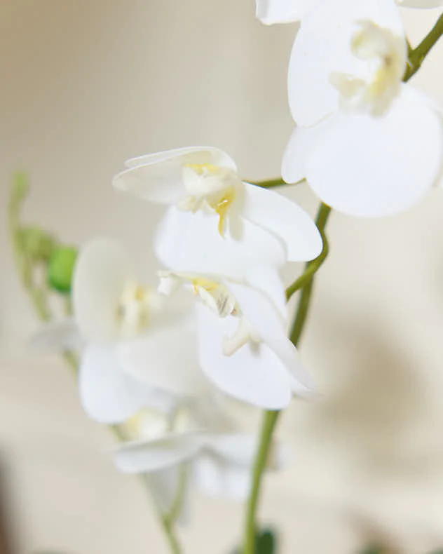 Artificial Potted White Orchid - Image 3