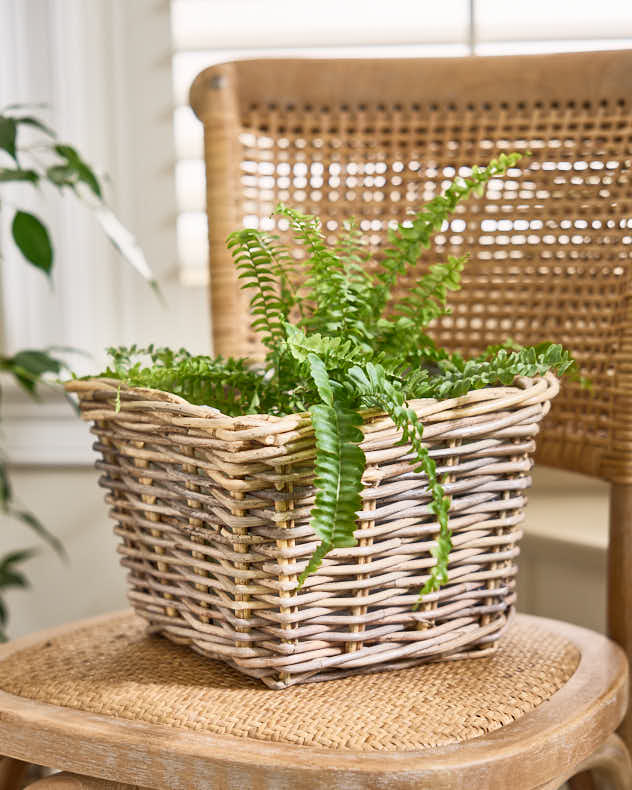 Bala Square Lined Baskets - Image 5