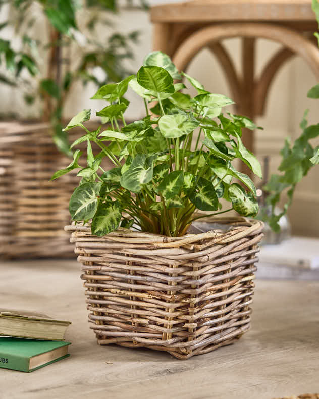 Bala Square Lined Planter Baskets - Image 2