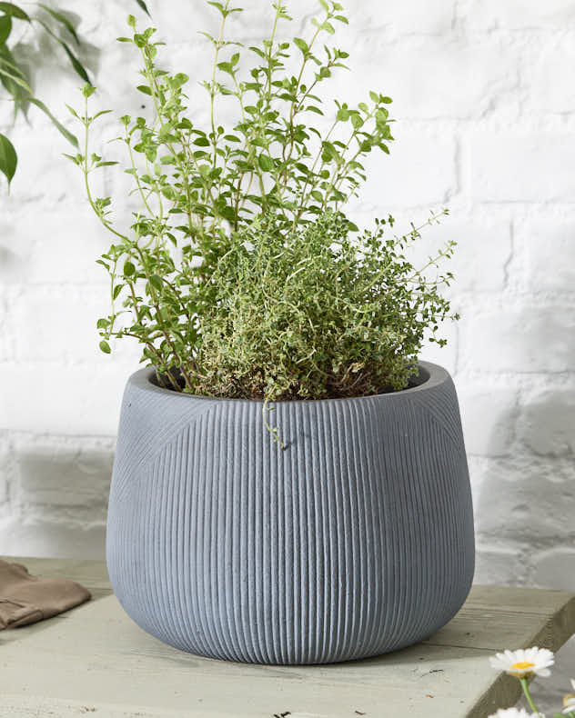 Silverstone Symmetry Stripe Planter