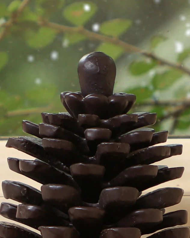 Cast Iron Pine Cone Christmas Stocking Holder - Image 4