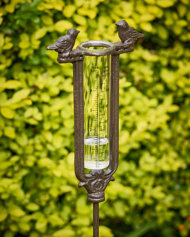 Cast Iron Standing Rain Gauge