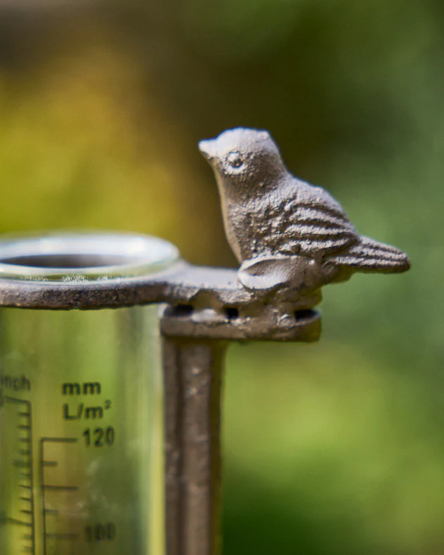 Cast Iron Standing Rain Gauge - Image 2