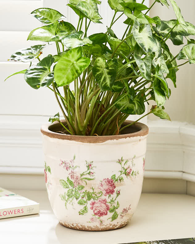 Ceramic Floral Planter