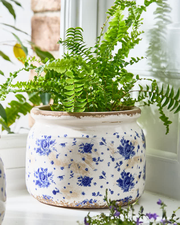 China Rose Planter - Image 3