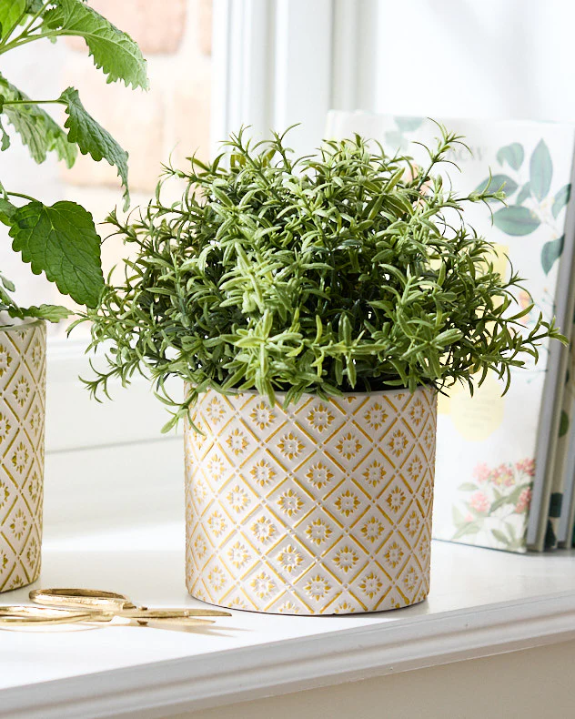Corona Diamond Patterned Planters - Image 3