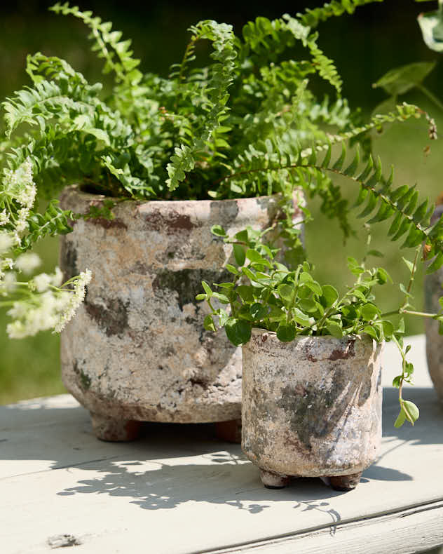 Stoneware Planters