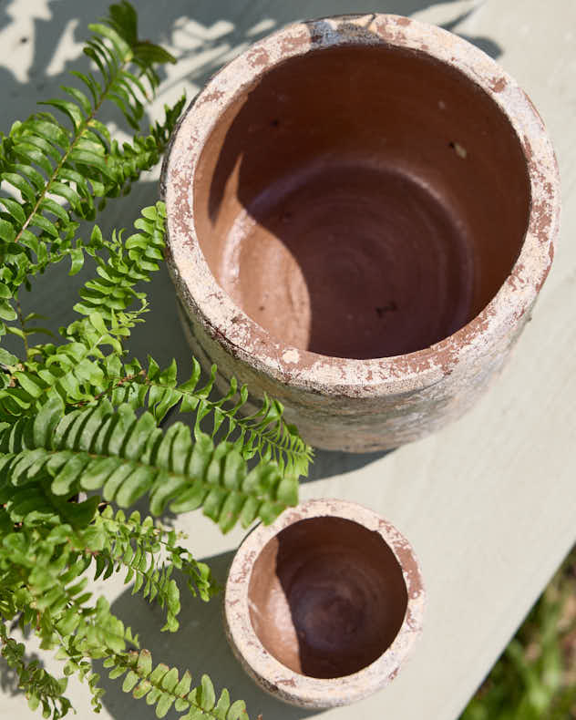 Earthy Terracotta Footed Planters - Image 3