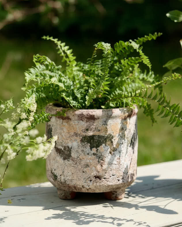 Earthy Terracotta Footed Planters - Image 4