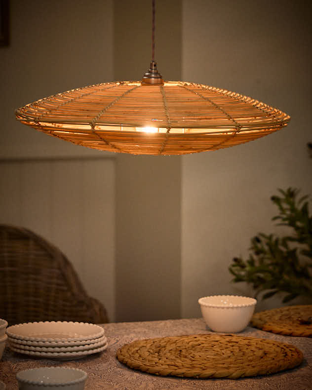 Extra Wide Ceiling Shade - Image 3