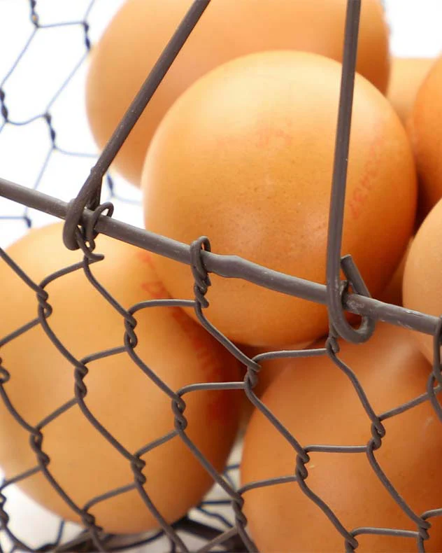 Farmhouse Chicken Wire Trug - Image 3