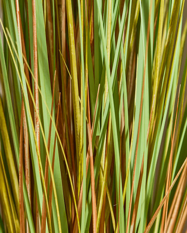 Faux Ravenna Grass Pot - Image 4