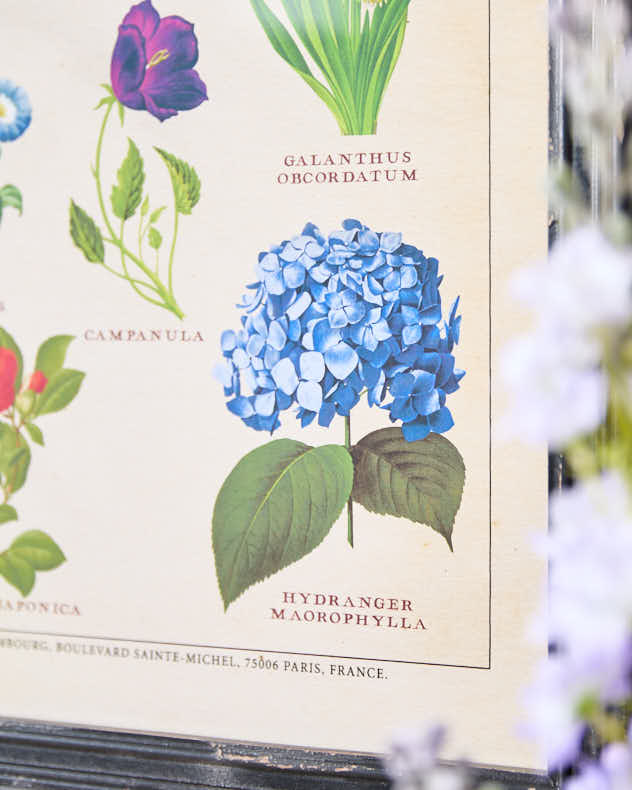 Framed Botanical Flower Print - Image 3