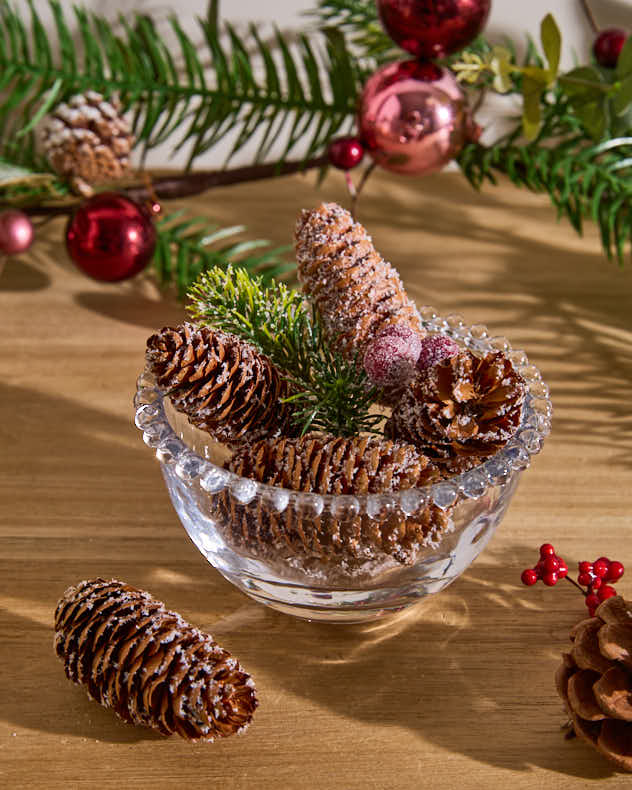 Frosted Berries Pinecone Pot Pourri