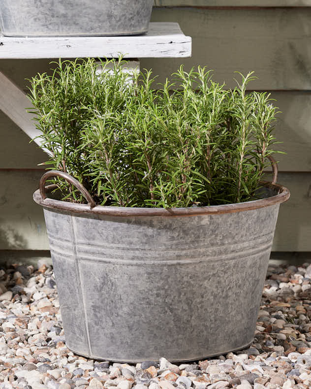 Galvanised Tub Planter - Image 4