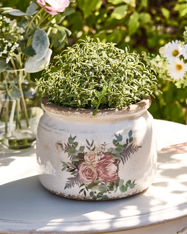 Garden Rose Indoor Planter