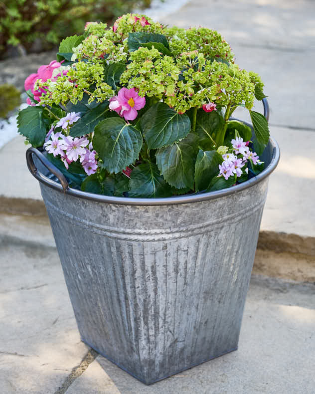 Grey Metal Bucket Planter