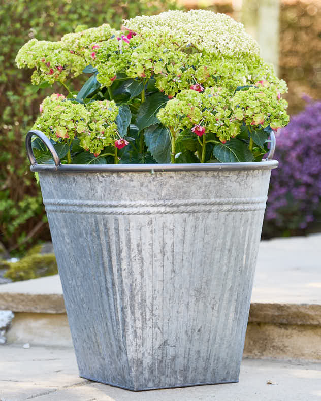 Grey Metal Bucket Planter - Image 2