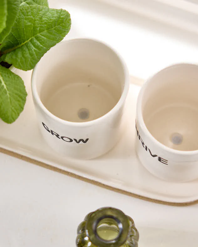 Grow, Thrive & Flourish Ceramic Herb Pots - Image 4