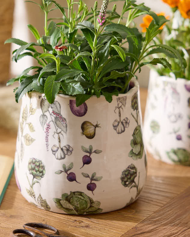 Harvest Vegetables Planter Collection - Image 4