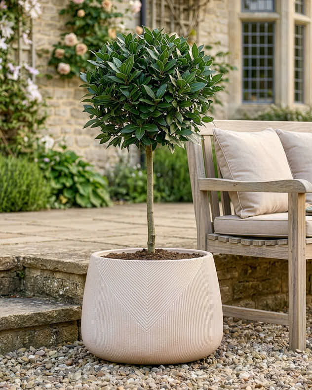 Kalo Striped Planter Collection - Image 3