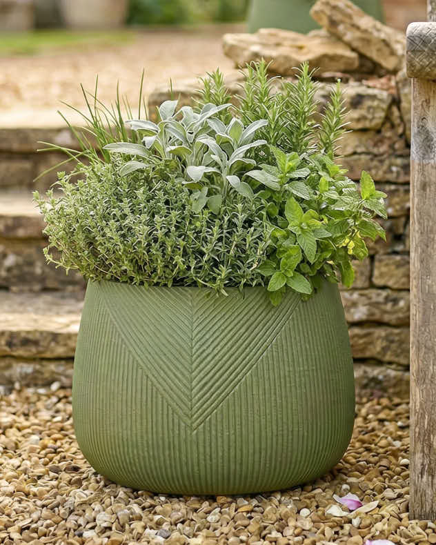 Kalo Green Striped Planter Collection - Image 2