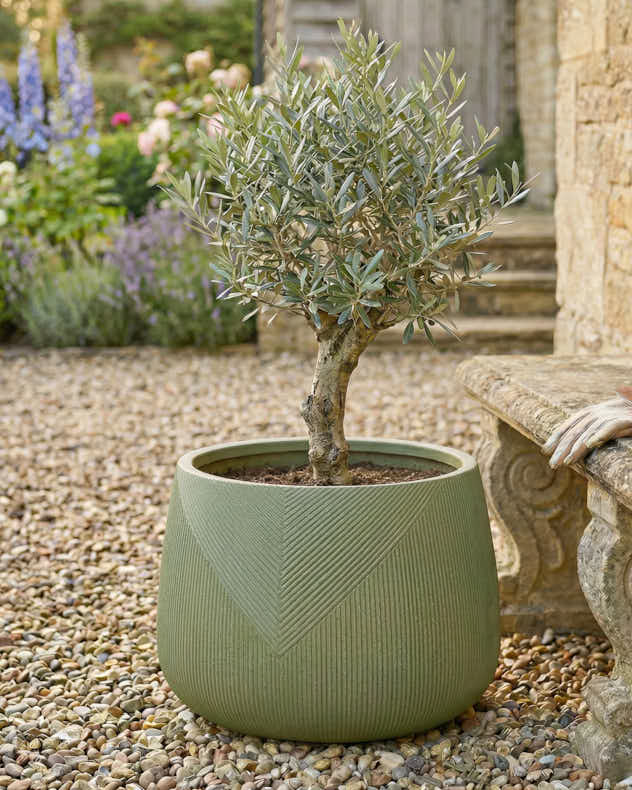 Kalo Green Striped Planter Collection - Image 3