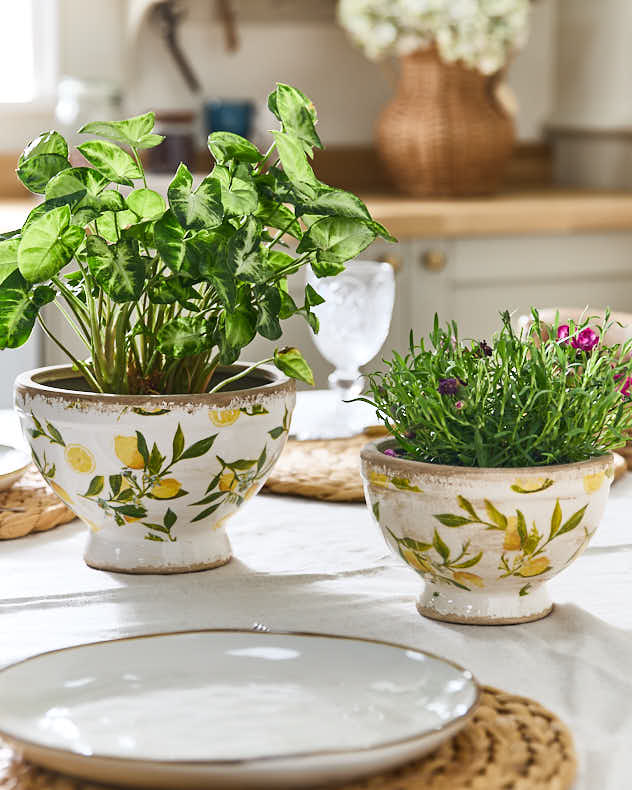 Lemon Print Footed Planter