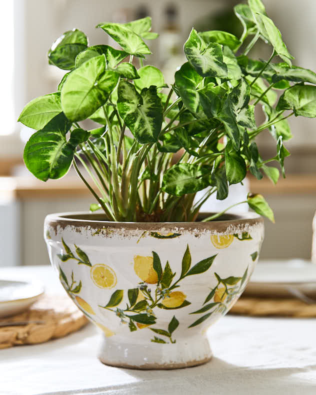 Lemon Print Footed Planter - Image 2