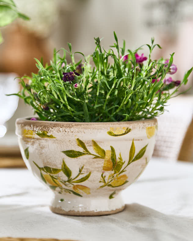 Lemon Print Footed Planter - Image 3