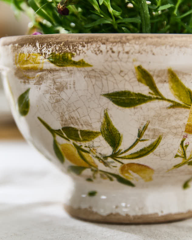 Lemon Print Footed Planter - Image 4