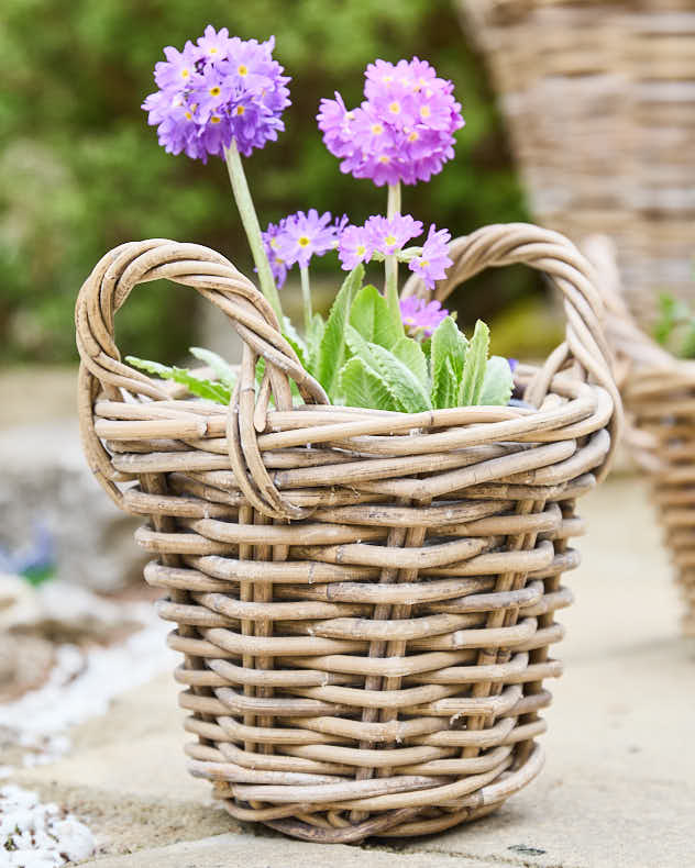 Lined Wicker Planter Baskets with Handles - Image 2