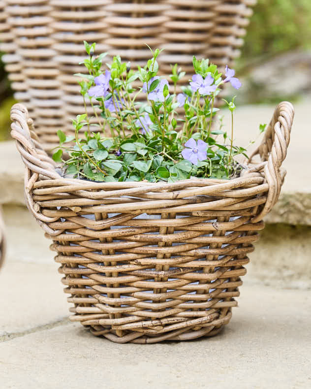 Lined Wicker Planter Baskets with Handles - Image 4