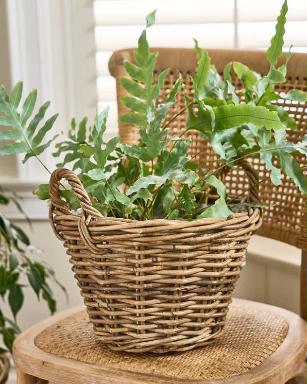 Lined Wicker Planter Baskets with Handles - Image 5