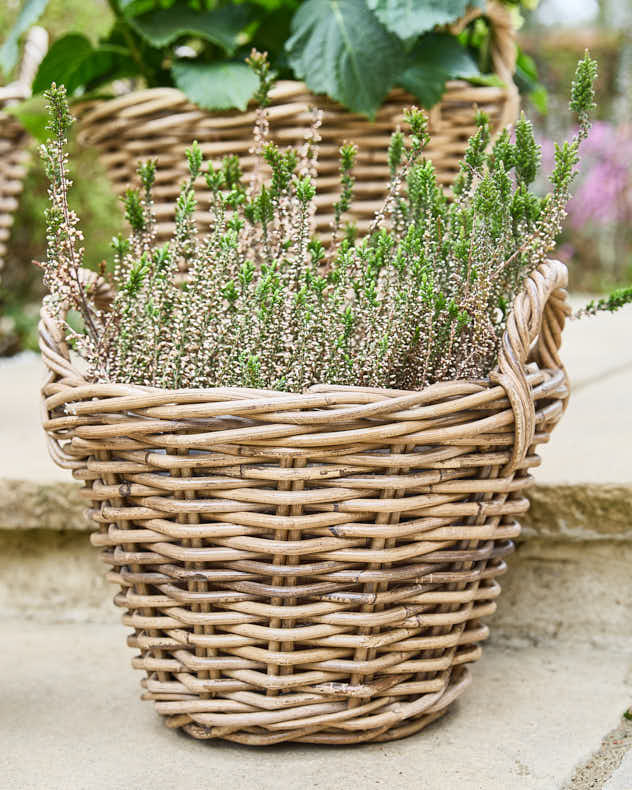 Lined Wicker Planter Baskets with Handles - Image 6