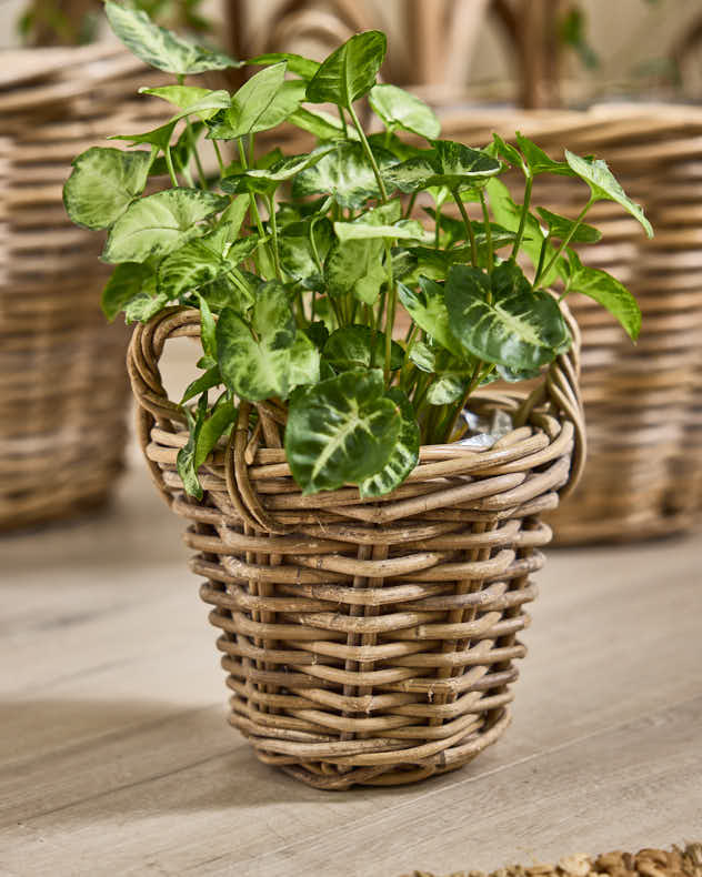 Lira Round Lined Baskets with Handles - Image 4