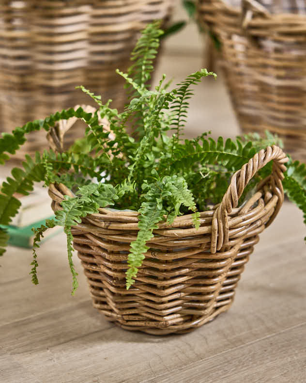 Lira Round Lined Baskets with Handles - Image 5