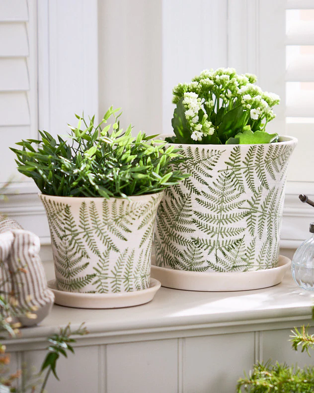 Macapa Set of 2 Planters with Trays