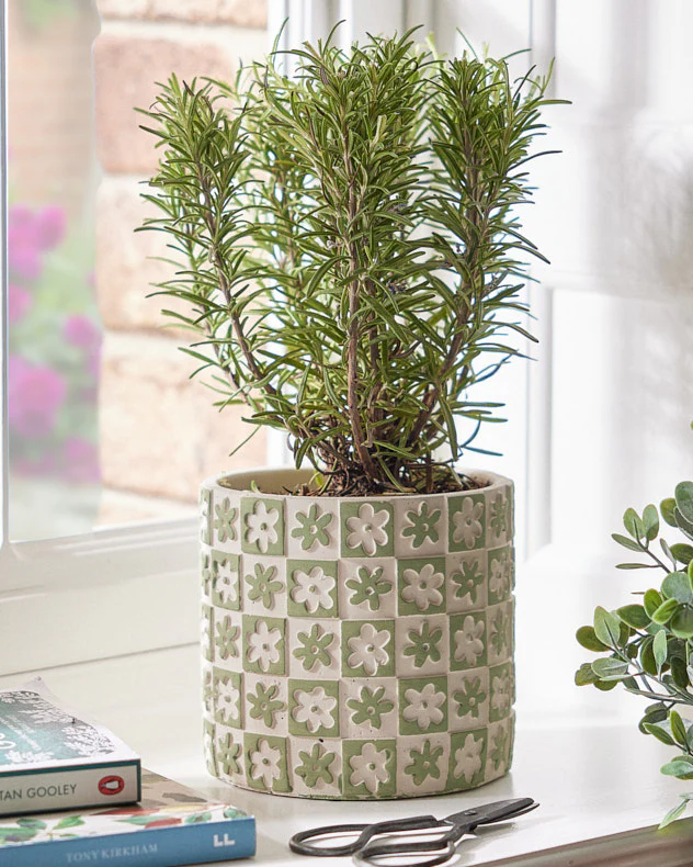 Green Floral Checkerboard Planters - Image 3