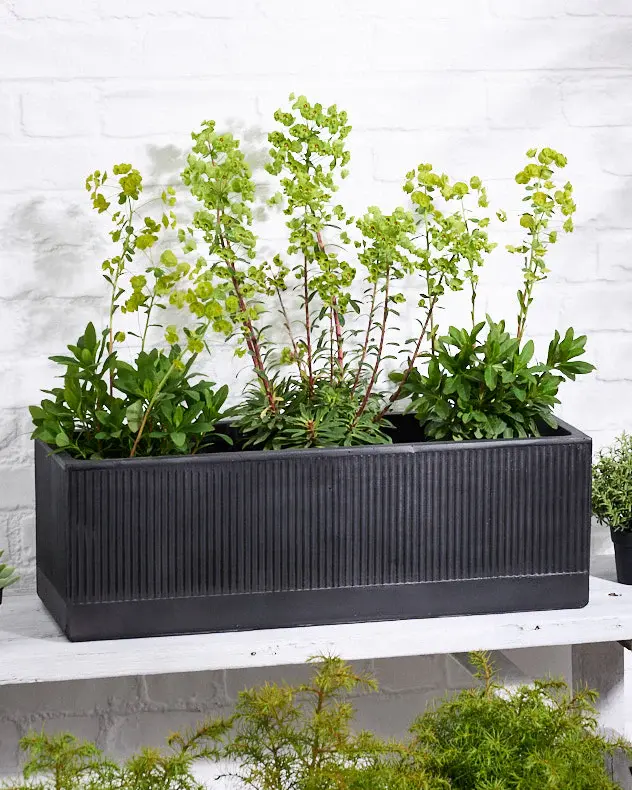 Mela Wide Black Planter Collection