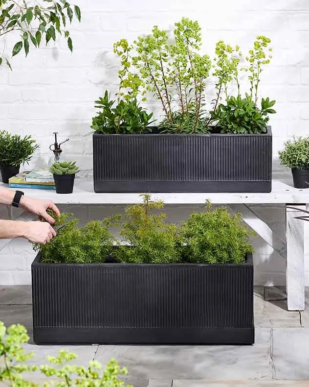 Mela Wide Black Planter Collection - Image 3