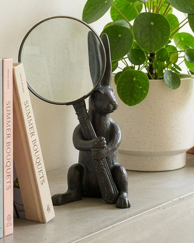 Mr Rabbit Magnifying Glass