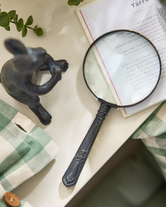 Mr Rabbit Magnifying Glass - Image 4