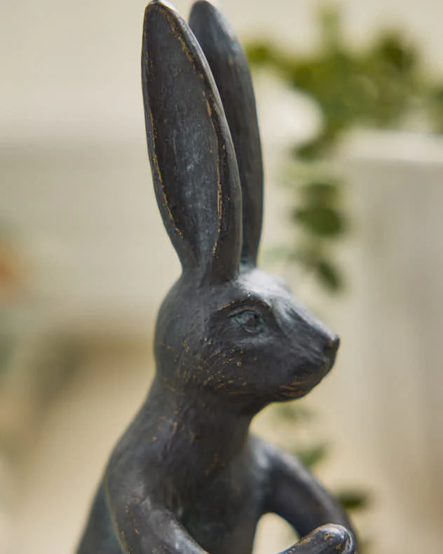 Mr Rabbit Magnifying Glass - Image 5
