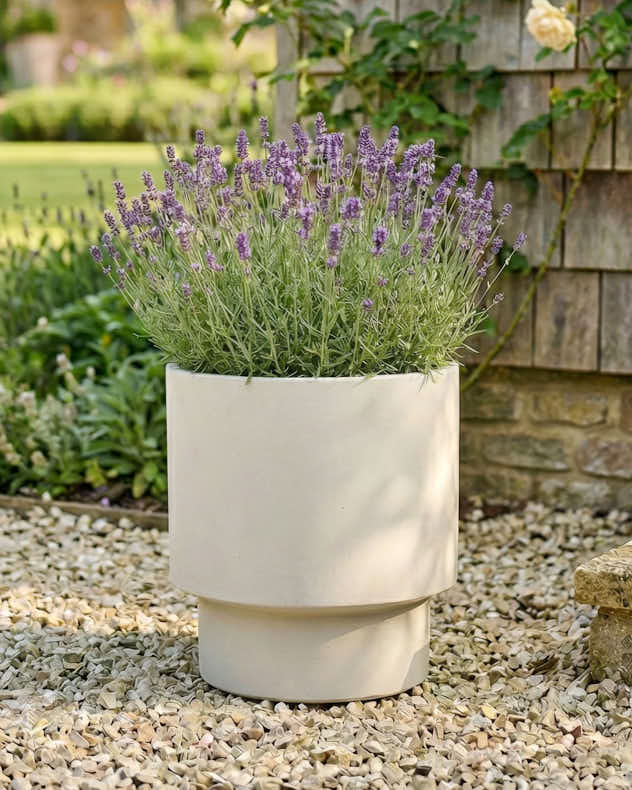 Noma Beige Planter Collection - Image 4